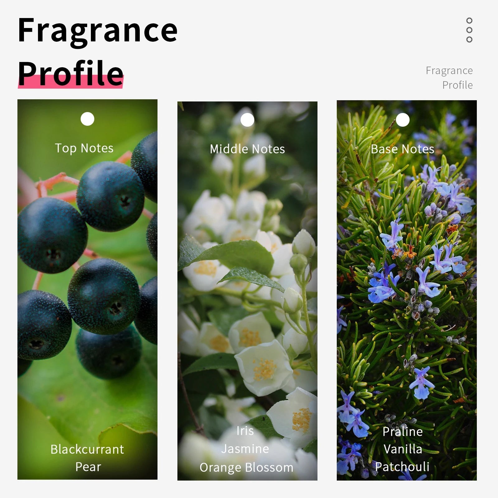 VILILY VL076 Life Est Belle  Perfume Best Perfume for Women Ladies Perfume Parfum Femme Perfumes De Mujer Aurora Glow Aven...